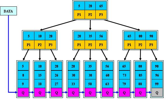 MySQL_B_Tree.jpg